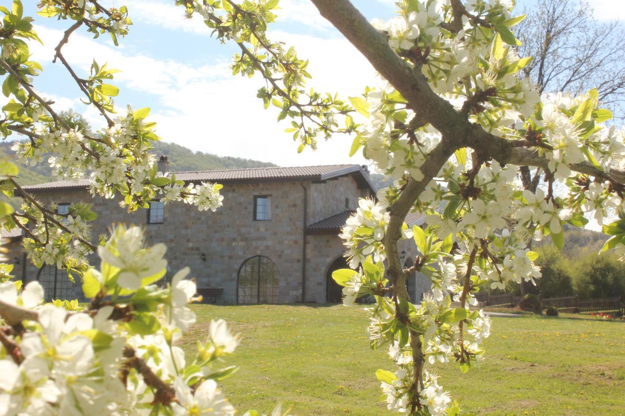 Villa Lavanda Elena Exteriör bild